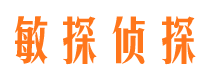 秦都市调查公司